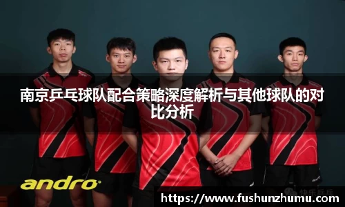 南京乒乓球队配合策略深度解析与其他球队的对比分析